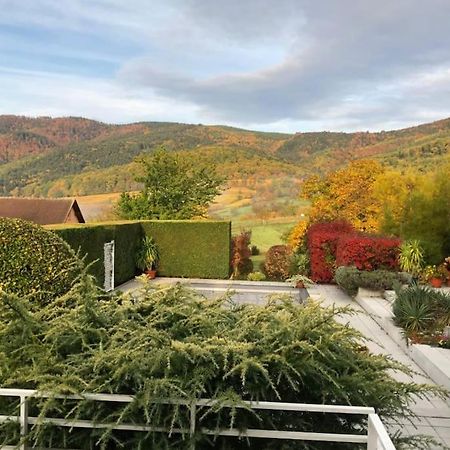 Logement De Charme Au Coeur De La Nature Osenbach 外观 照片