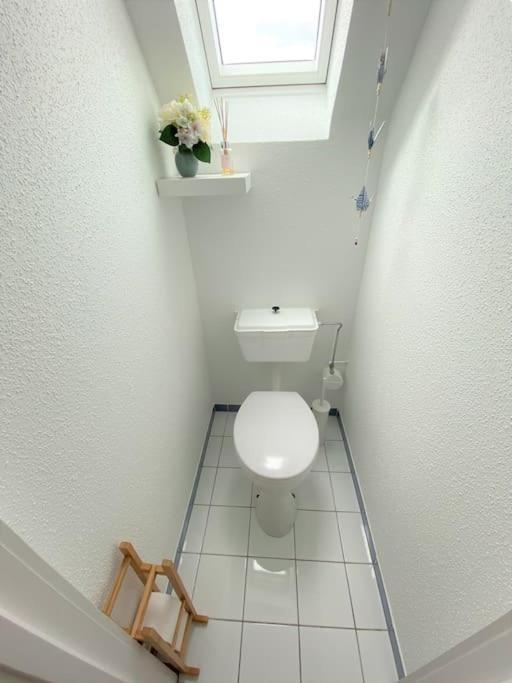 Logement De Charme Au Coeur De La Nature Osenbach 外观 照片