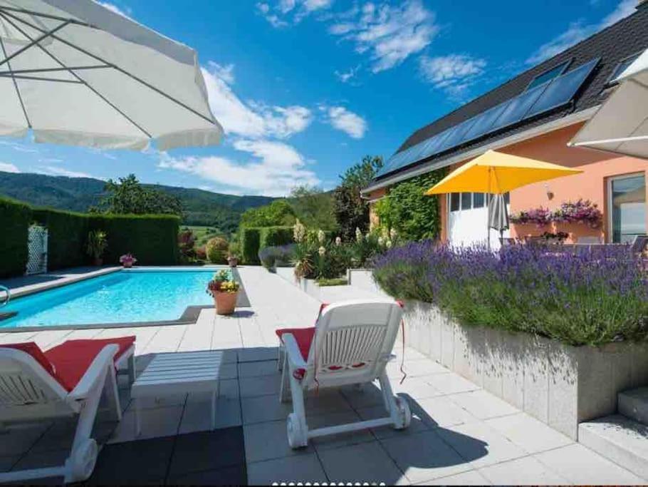 Logement De Charme Au Coeur De La Nature Osenbach 外观 照片